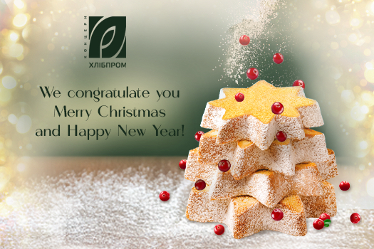 Merry Christmas and Happy New Year!